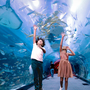 Arrival and Dubai City Tour