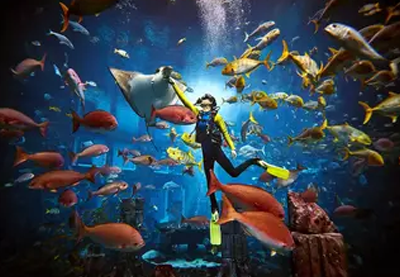 Dubai Aquarium
