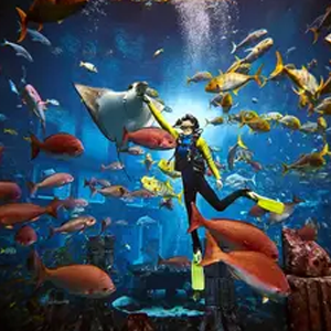 Discover New Dubai