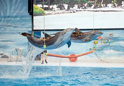 Dubai Aquarium