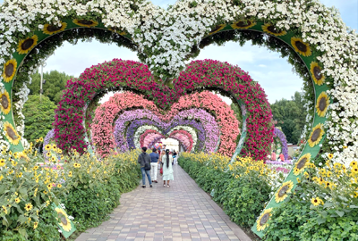 The Dubai Miracle Garden