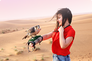 Platinum Desert Tour