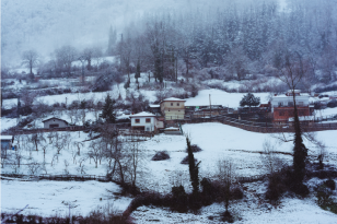 Heavenly Winter Kashmir Tour