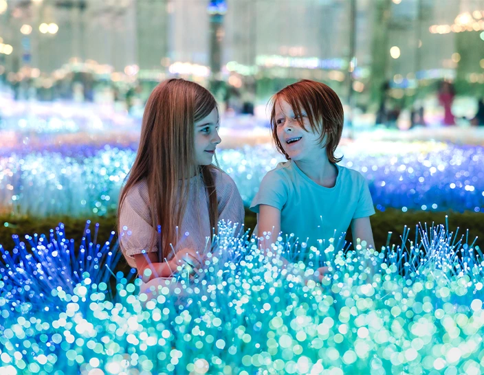Collections of 100 things to do in Dubai 2025