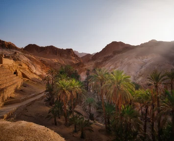 Dhofar mountain and nature scenery during a private Salalah tour