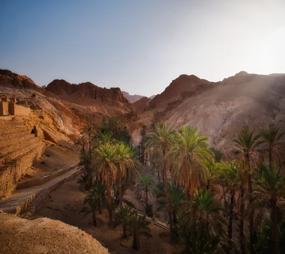 Dhofar mountain and nature scenery during a private Salalah tour