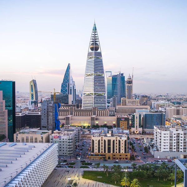 Saudi Arabia e visa aplication