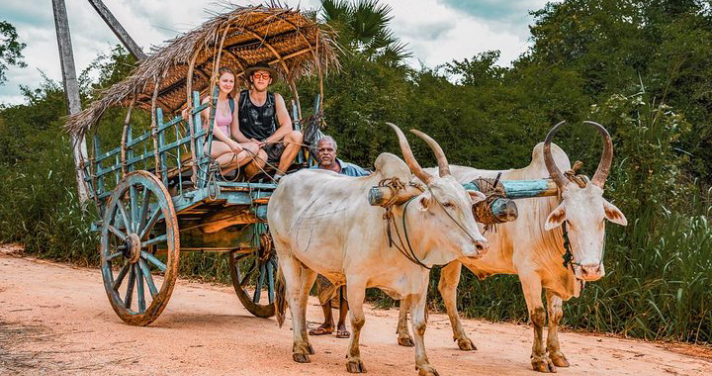 Sri Lankan child engaging in a traditional dance in Sri Lanka