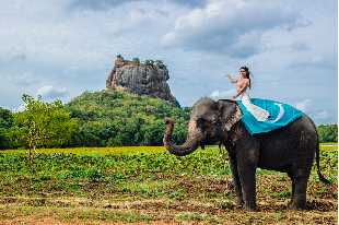 Sri Lanka Insta Highlight Package