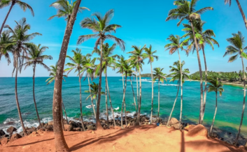 Sri Lanka Ultimate Adventure