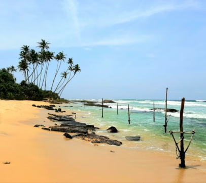 Sri Lanka Nature & Wildlife