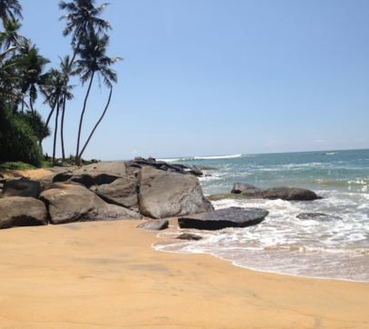 Sri Lanka Nature & Wildlife