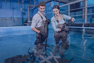 Interaction With the Shark Trainer